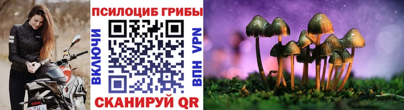 Псилоцибиновые грибы Psilocybe  магазин    Шацк 